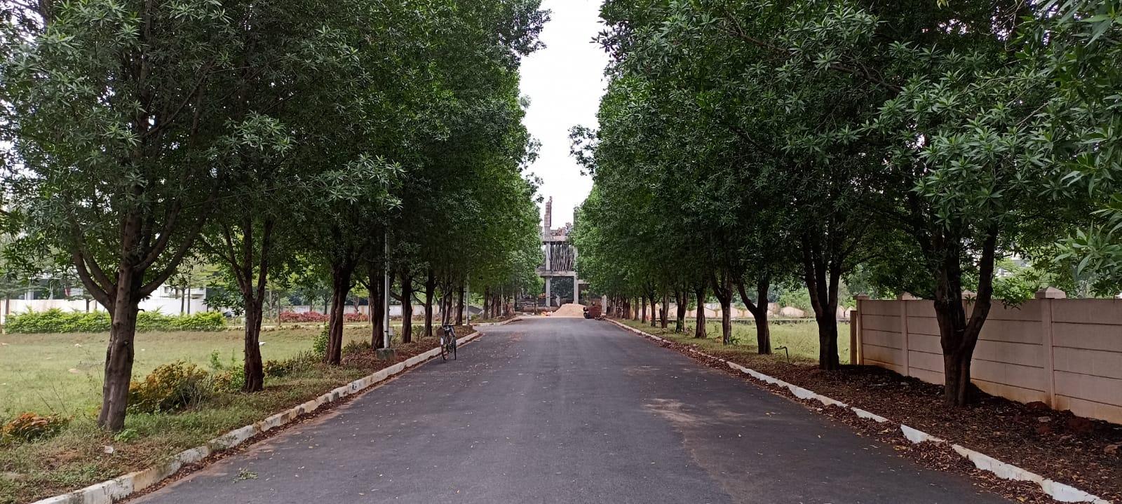 Highway Facing Plots In Vizag