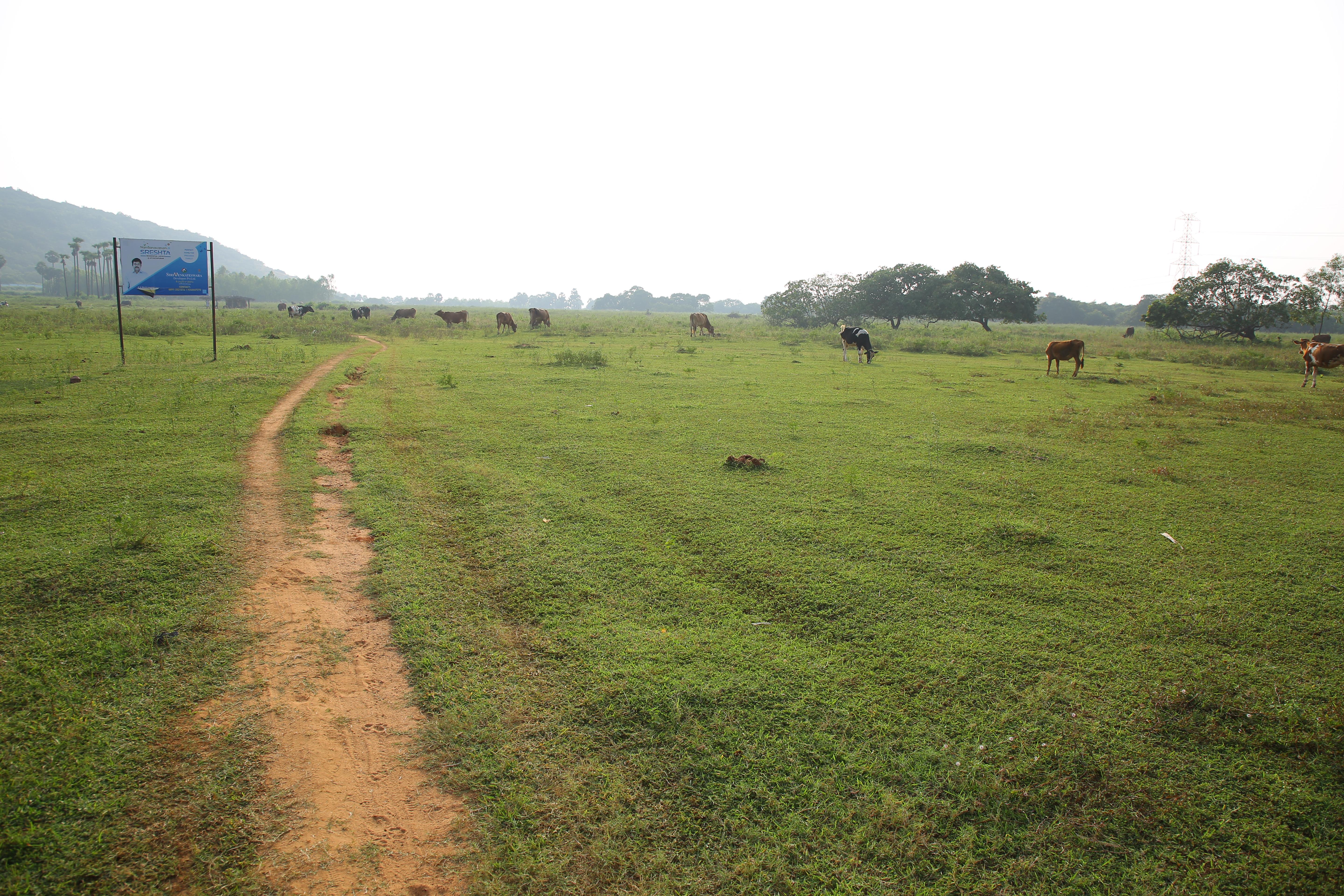 Plots in S R Puram,S R Puram plots for sale,Residential plots in S R Puram,