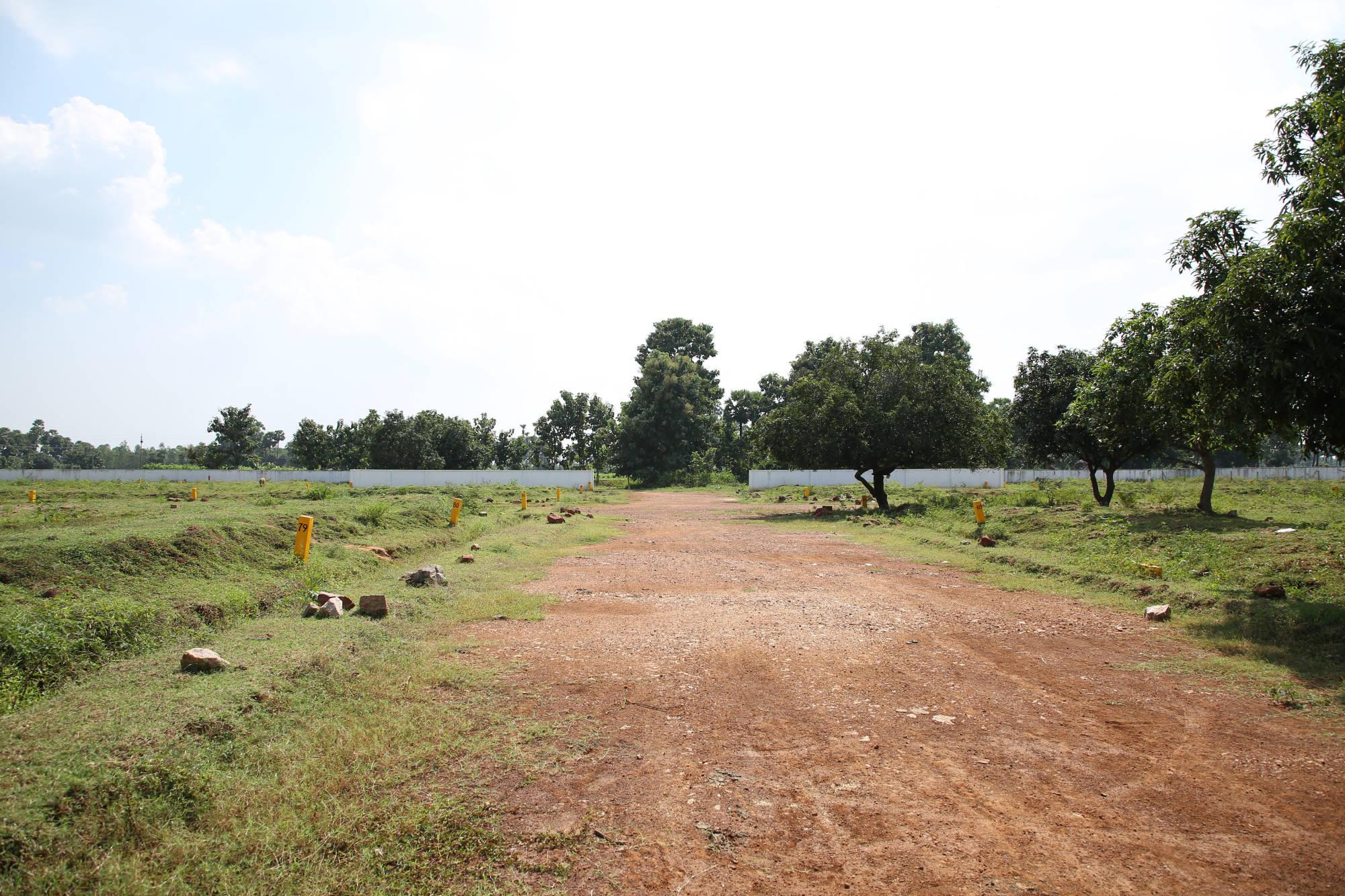 2 Acres Land for Sale — Gottipalli Village, Anandapuram, Visakhapatnam Near Tarluwada IT Hub