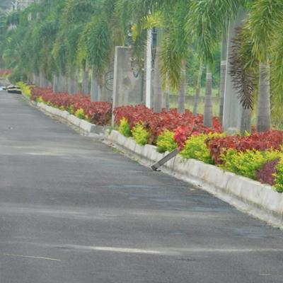 Gated community plots Dakamarri, Open plots near Rajapulova, Residential plots for sale in Dakamarri