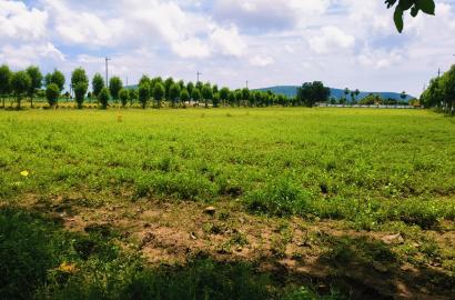 Commercial land for sale in Bhogapuram Bhogapuram commercial plots for sale Buy commercial Land Bhogapuram  Commercial property Bhogapuram