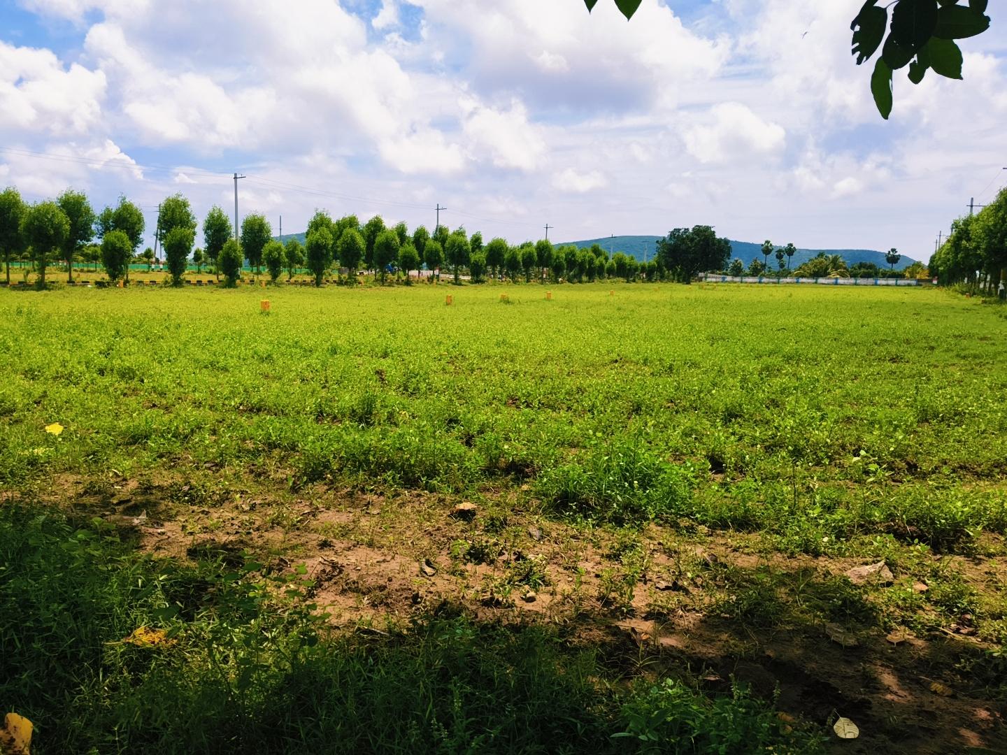 VUDA PLOTS AT BHOGAPURAM / RESIDENTIAL PLOTS IN BHOGAPURAM / VUDA & VMRDA PLOTS  BHOGAPURAM