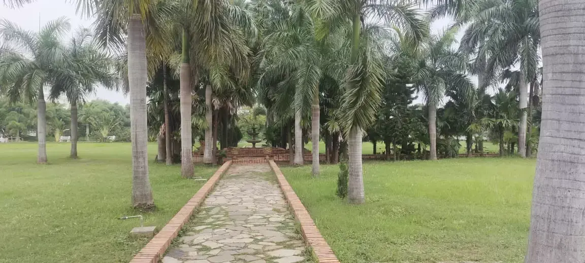 LEGEND CREST PLOTS FOR SALE IN THALAVALASA, VUDA PLOTS NEAR TO HIGHWAY FACING, PLOTS SALE AT RAJU TALAVALASA