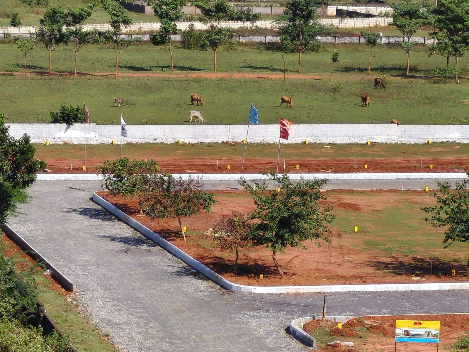 RESIDENTIAL PLOTS IN KAPULUPPADA, Gated community plots in Kapuluppada, Visakhapatnam, Residential plots in Kapuluppada