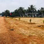 VMRDA PLOTS THAGARAPUVALASA, OPEN PLOTS IN THAGARAPUVALASA VUDA PLOTS IN THAGARAPUVALASA