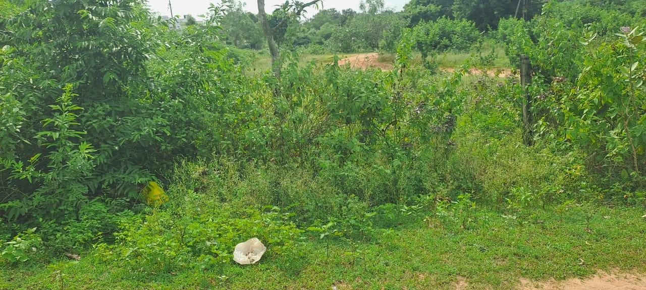 SUKHIBHAVA GAYATRI NAGAR LAYOUT THALAVALASA OPEN PLOTS; Residential plots for sale in THALAVALASA