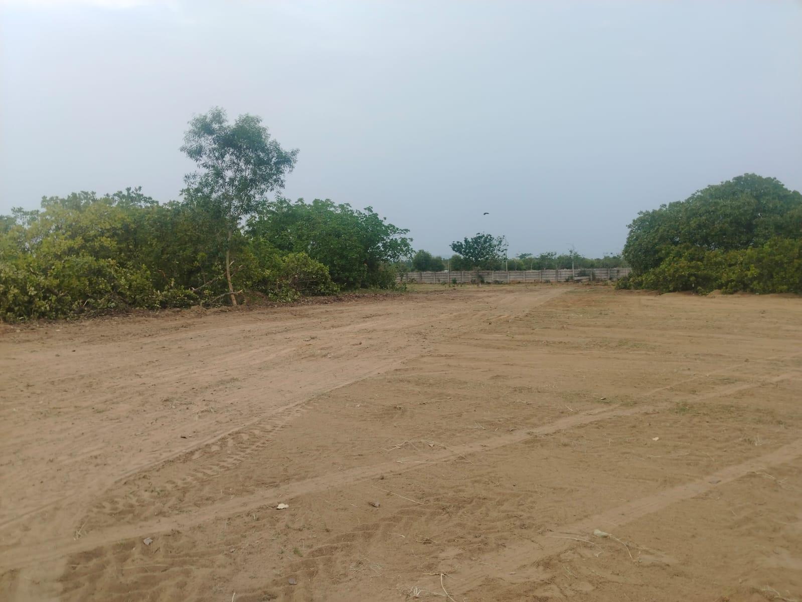 PLOTS IN BHOGAPURAM, VMRDA & RERA APPROVED PROJECTS IN BHOGAPURAM