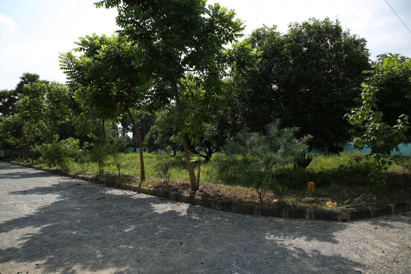 PLOTS IN TAGARAPUVALASA, PLOTS IN REVIDI, VUDA PLOTS IN TAGARAPUVALASA