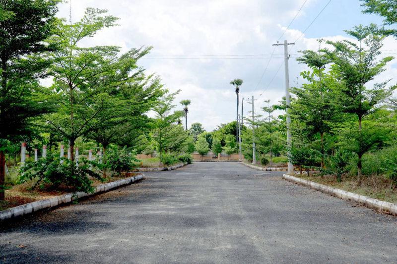 PLOTS IN THAGARAPUVALASA, RESIDENTIAL PLOTS IN THAGARAPUVALASA, NEAR NH-26