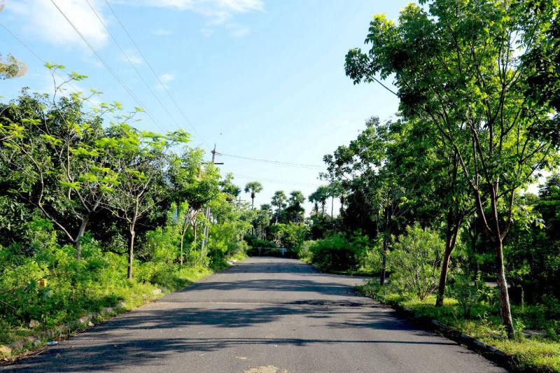 PLOTS IN TAGARAPUVALASA, PLOTS IN REVIDI, VUDA PLOTS IN TAGARAPUVALASA