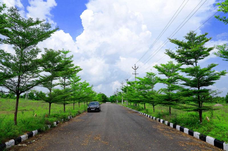 OPEN PLOTS IN TAGARAPUVALASA, PLOTS NEAR TAGARAPUVALASA, RESIDENTIAL PLOTS IN TAGARAPUVALASA
