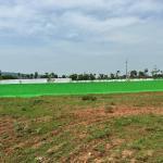 PLOTS FOR SALE IN BHOGAPURAM, VMRDA & RERA APPROVED PLOTS IN BHOGAPURAM