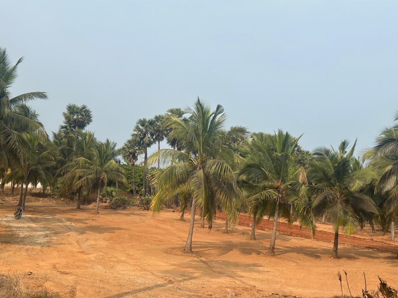 LUXURY BEACH VIEW PLOTS IN VIZAG.  OCEAN VIEW PLOTS IN BHOGAPURAM  BEACH SIDE PLOTS IN BHOGAPURAM