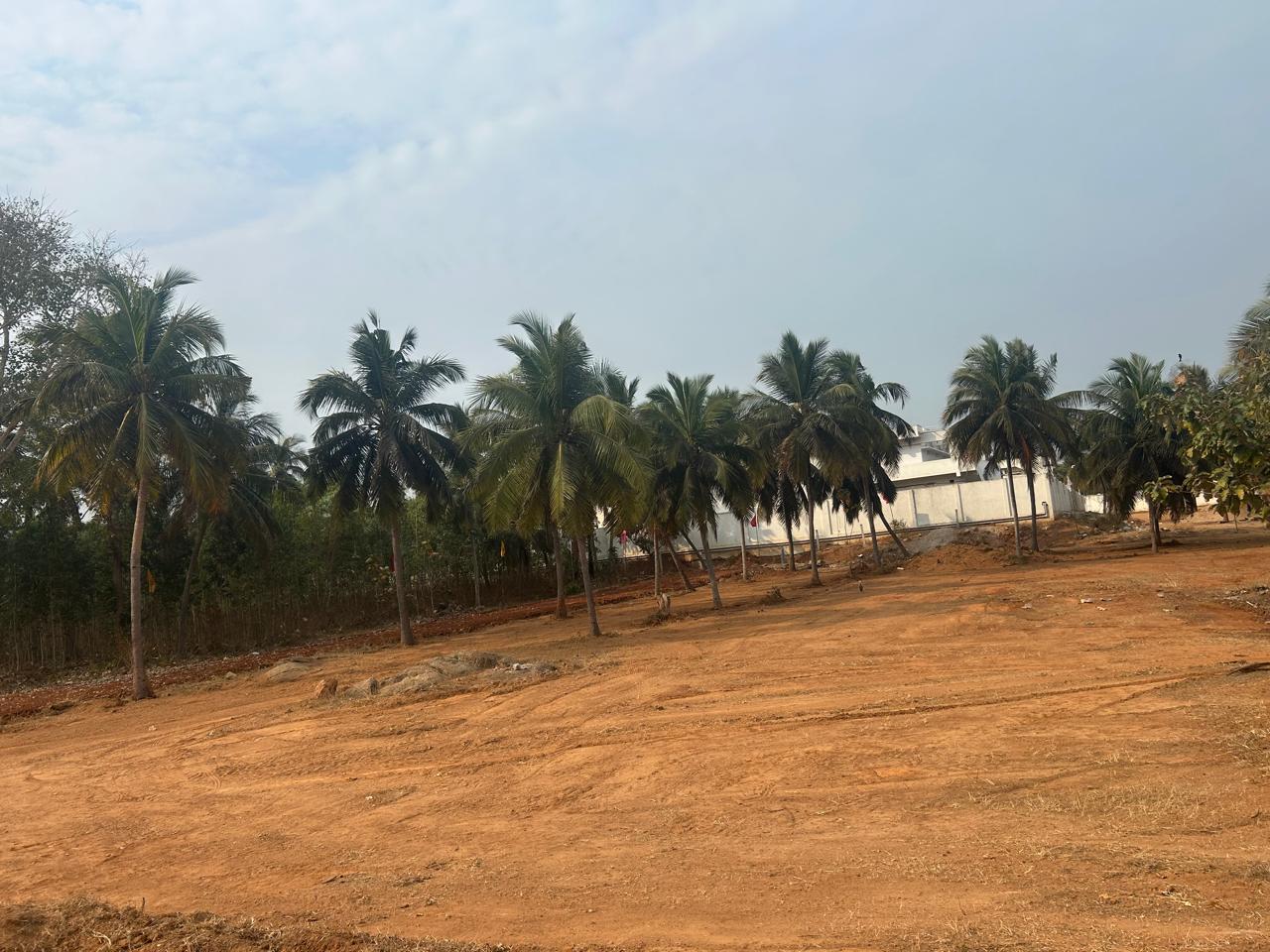 LUXURY BEACH VIEW PLOTS IN VIZAG.  OCEAN VIEW PLOTS IN BHOGAPURAM  BEACH SIDE PLOTS IN BHOGAPURAM