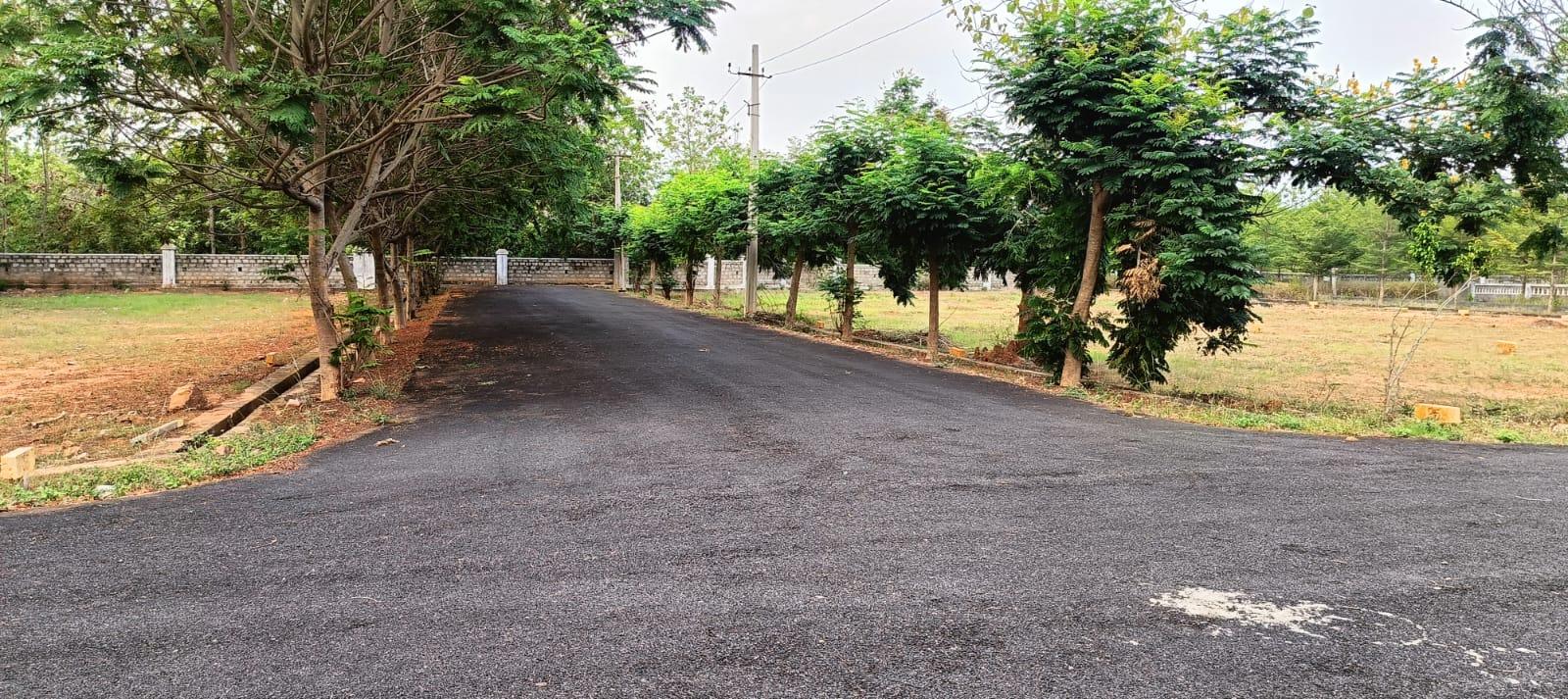 OPEN PLOTS  IN DAKAMARRI, PREMIUM RESIDENTIAL PLOTS NEAR VIZIANAGARAM HIGHWAY