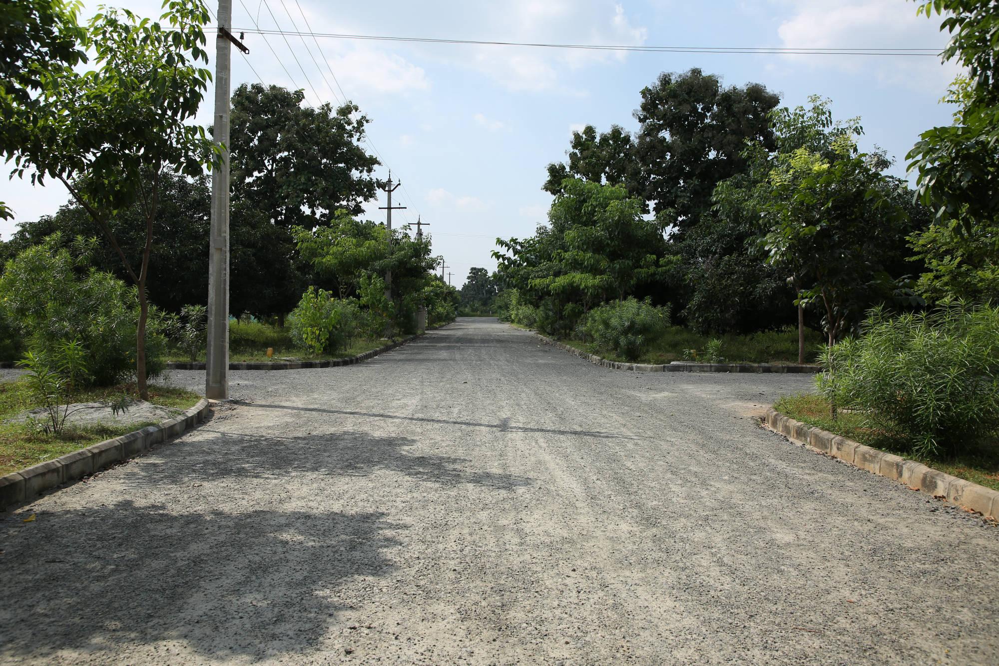 Thagarapuvalsa plots for sale Plots near Revid Residential land Thagarapuvalsa Buy plots Thagarapuvalsa real estate Open land Thagarapuvalsa Plots for sale Thagarapuvalsa