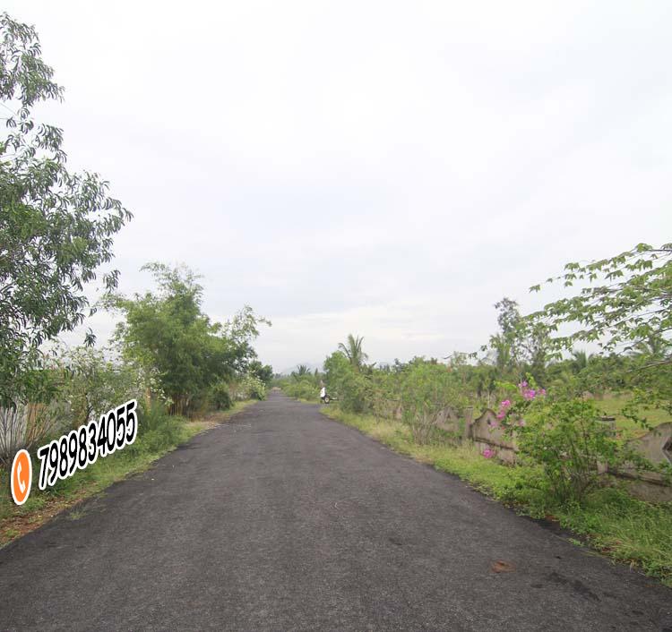 BALAJI HILL COUNTY, Parawada plots for sale ,Residential land in Parawada