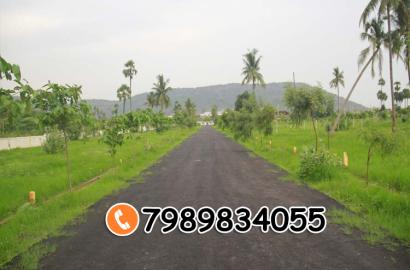 SREYA GARDENS 2 BHEEMILI,buy residential plots for sale in bheemili