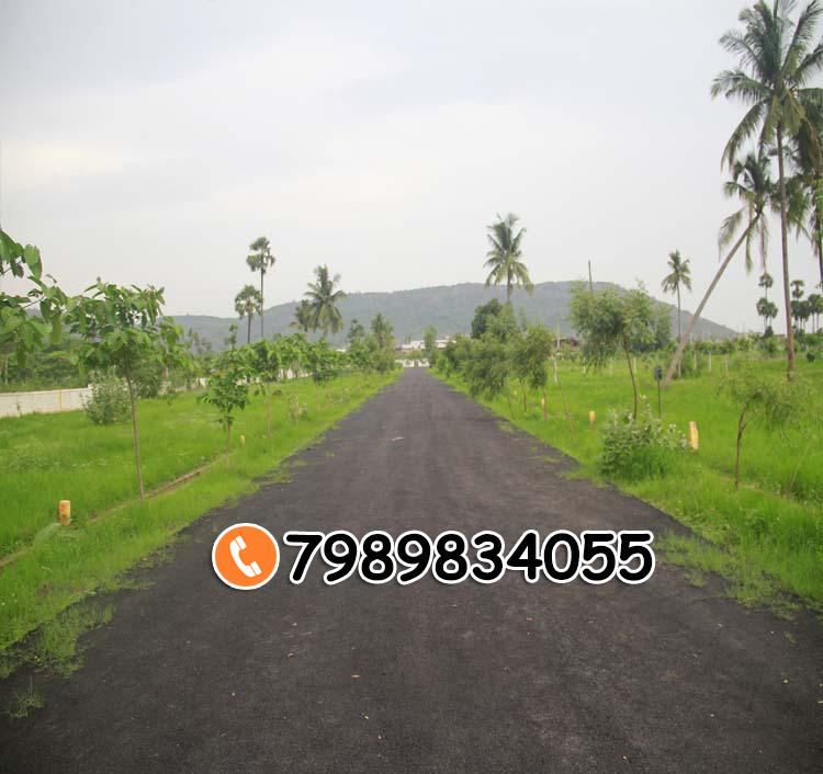 SREYA GARDENS 2 BHEEMILI,buy residential plots for sale in bheemili