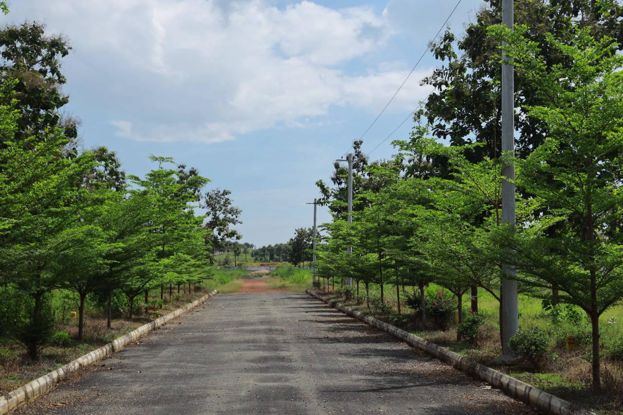 ALLURI'S NANDANAVANAM DAKAMARRI