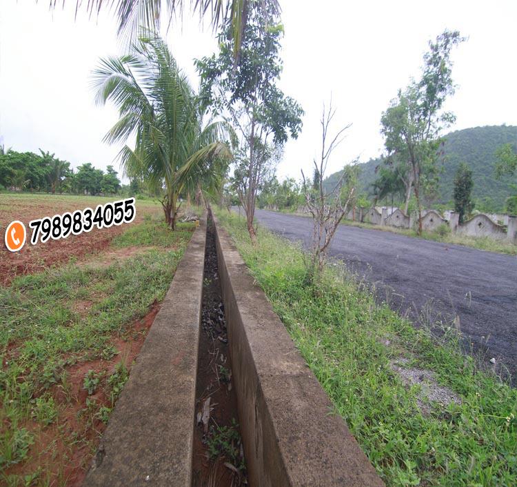 PLOTS IN PARAWADA, PLOTS FOR SALE IN PARAWADA, VUDA PLOTS IN PARAWADA