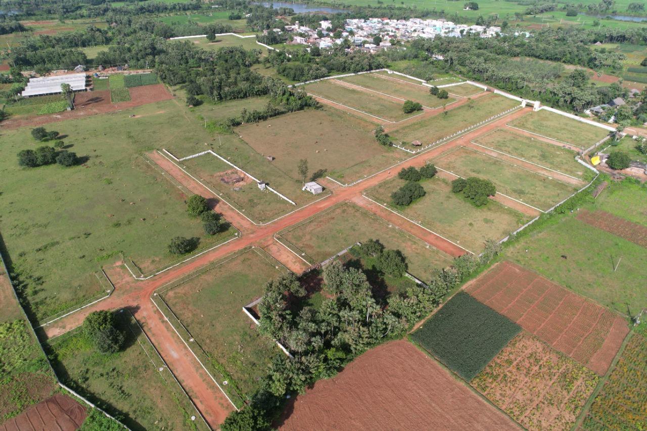 NANDANAVANAM VISISHTA DAKAMARRI