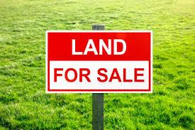 10.14 Acras & 10.25 Acras Land for Sale| Cashew & Teak Tree Plantation| Liviri,Bhamini Mandal,Parvathipuram Manyam District