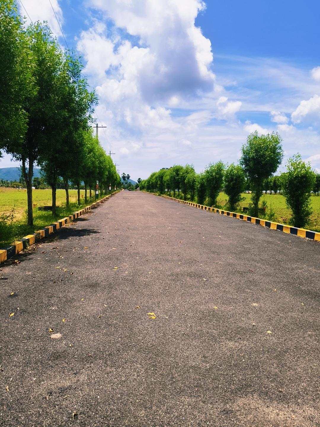 RESIDENTIAL PLOTS FOR SALE AT BHOGAPURAM, VMRDA PLOTS SALE IN BHOGAPURAM, plots for sale in bhogapuram vizag