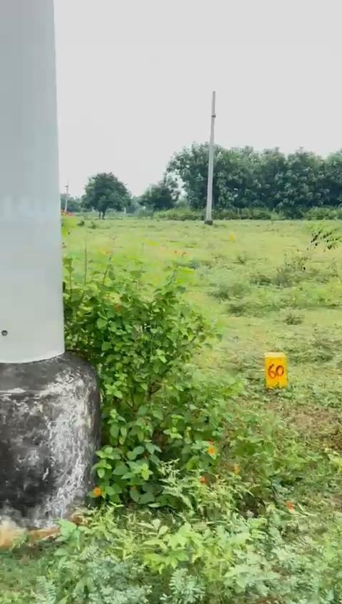 PLOTS FOR SALE AT RAJULA THALAVALASA, OPEN PLOT SALE IN RAJULA THALAVALSA ,Rainbow Estates, Tallavalasa