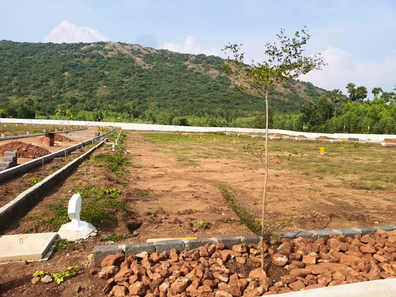 ANANDAPURAM PLOTS FOR SALE, PLOTS FOR SALE IN NEELAKUNDILU, VMRDA PLOTS IN NEELAKUNDILU