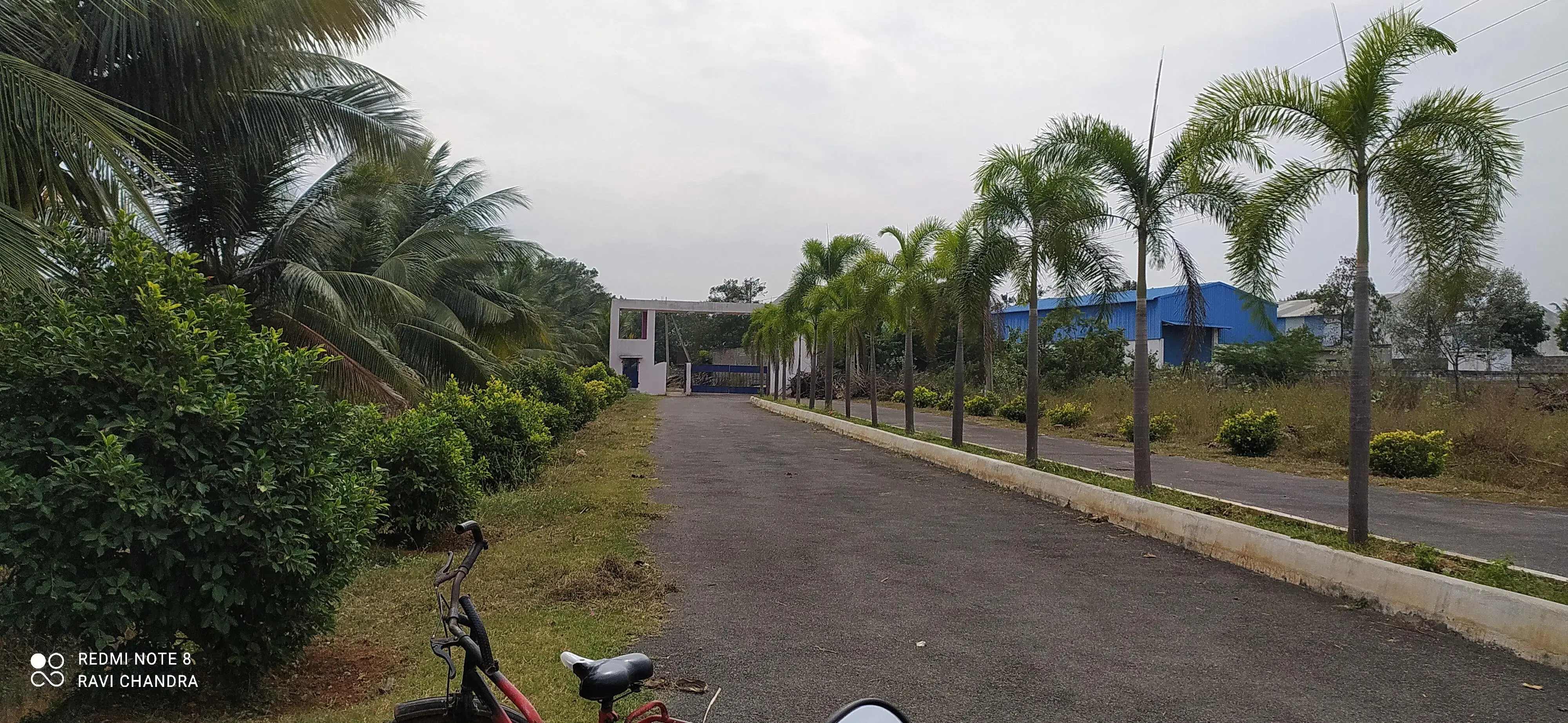 OPEN PLOTS FOR IN AGANAMPUDI, RESIDENTIAL PLOTS FOR SALE AGANAMPUDI