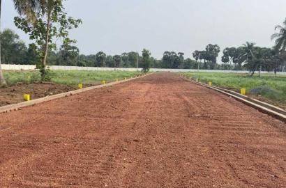 PLOTS FOR SALE AT NAD, PLOTS SALE IN NAD