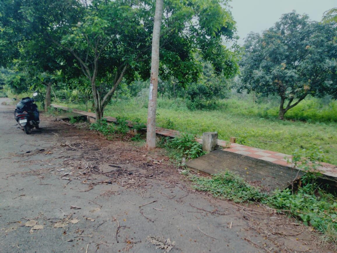 PLOTS FOR SALE AT MURALI NAGAR, MURALI NAGAR PLOTS FOR SALE