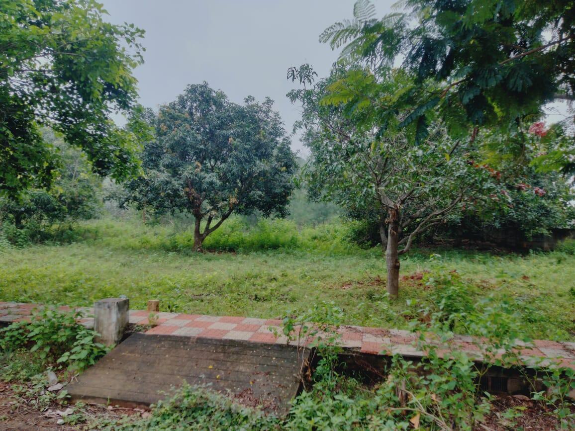PLOTS FOR SALE AT MURALI NAGAR, MURALI NAGAR PLOTS FOR SALE