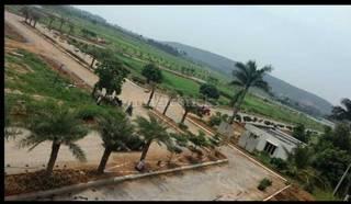 VUDA PLOTS IN YENDADA VIZAG, Plots For Sale In Yendada . Residential plots in Yendada, Visakhapatnam