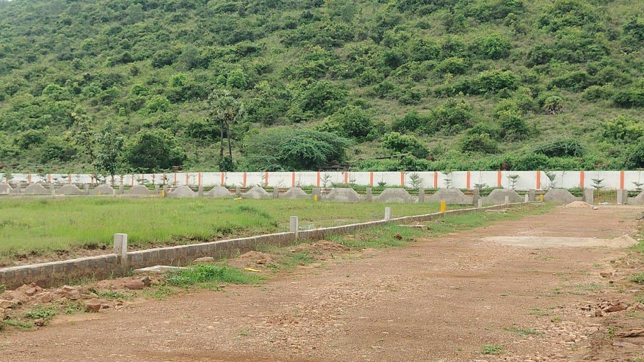 Highway facing plots in Tagarapuvalasa, plot sale in thagarapuvalasa,Open plots for sale in Tagarapuvalasa
