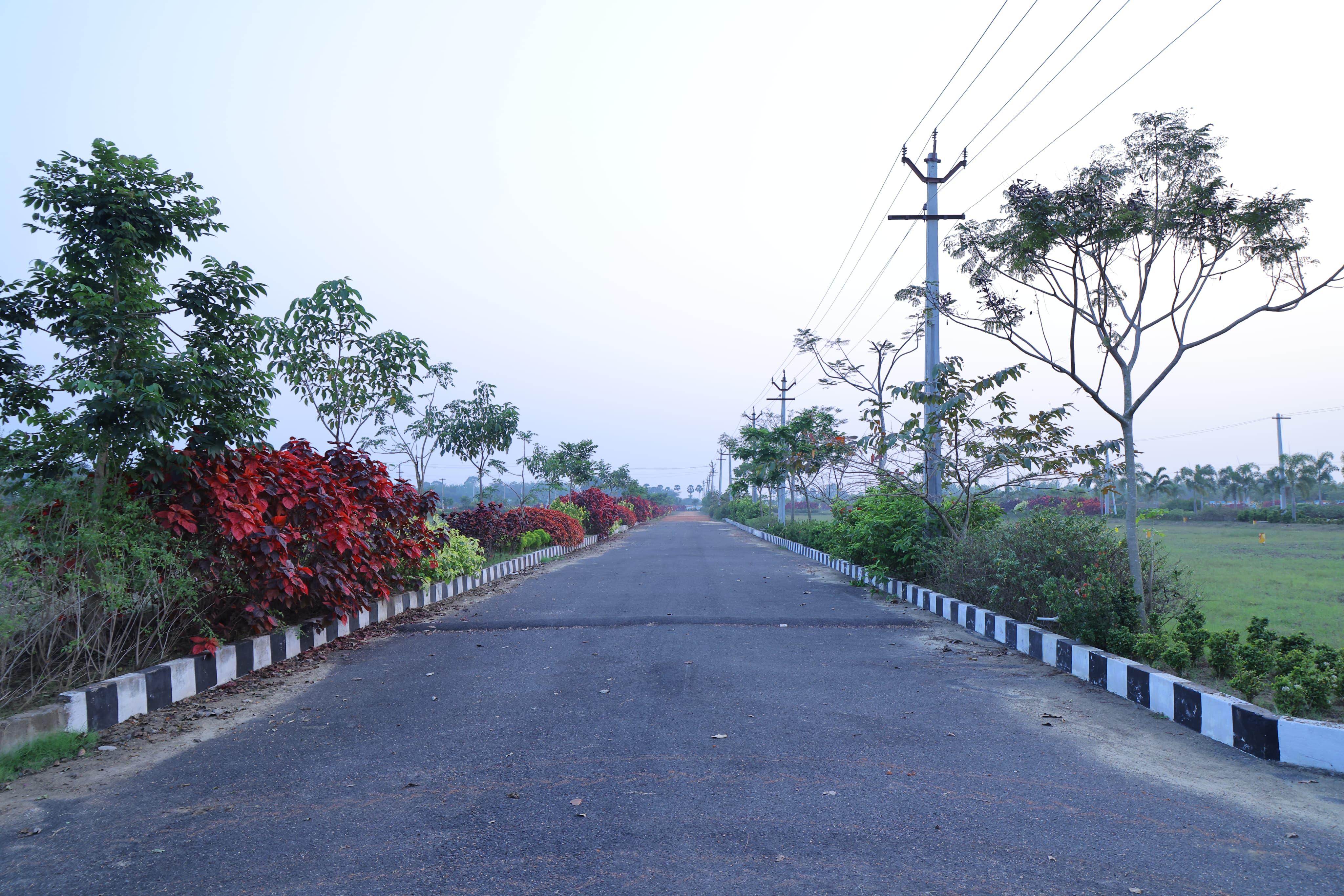 plots for sale in bhogapuram vizag, Bhogapuram near airport plots for sale,Plots for sale in Bhogapuram