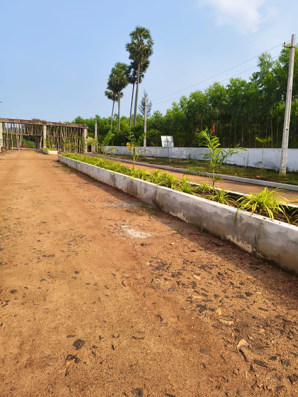 VMRDA-approved plots in Tarluvada, Residential plots for sale in Tarluvada, Open plots in Neelakundilu, Visakhapatnam