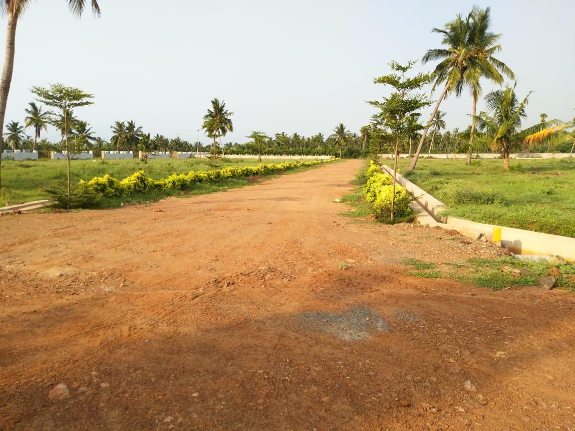 Sandy Beach Resorts. SANDY BEACH FRONT VIEW BHOGAPURAM .SANDY BEACH BHOGAPURAM