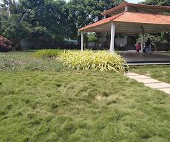 LEGEND CREST THALLAVALASA, Thallavalasa plots for sale" Residential plots in Rajula Thallavalasa"