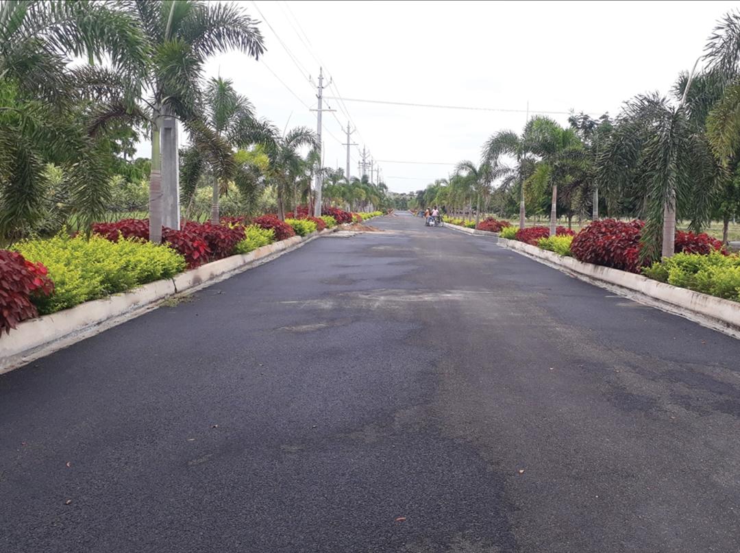 BHEEMILI BEACH VIEW PLOTS / BHEEMUNIPATNAM VMRDA PLOTS / BHEMMILI VMRDA VUDA PLOTS , Plots near Bheemili Beach