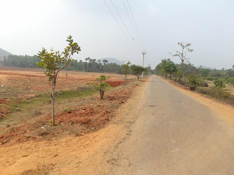Land for Sale Anandapuram, Land for Sale Near Tarluvada Visakhapatnam IT Hub and Google Data Center, Visakhapatnam