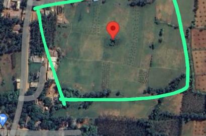 Land for Sale Bhogapuram |  Land for Sale Pusapatirega, Near Bhogapuram