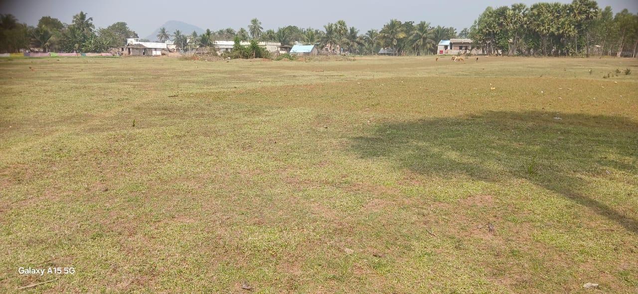 Land for Sale Bhogapuram |  Land for Sale Pusapatirega, Near Bhogapuram