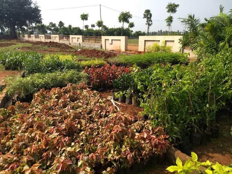 Dream Valley Layout Bheemili, Premium Plots for Sale Bheemili