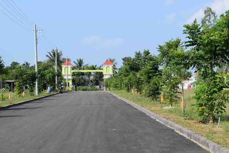 Low Budget  Plots In Vizag,East-Facing Plots for Sale Korada, Geddapeta ,Direct Owner Plot Sale in Vizag