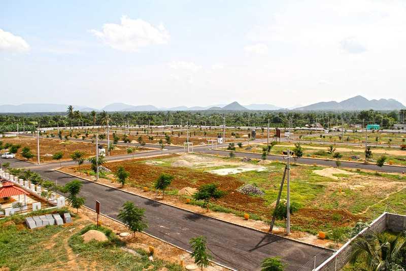 Low Budget  Plots In Vizag,East-Facing Plots for Sale Korada, Geddapeta ,Direct Owner Plot Sale in Vizag