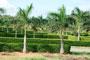 Legend Elite, Peddipalem, Visakhapatnam,Legend Elite vizag,Residential land for sale in Peddipalem, Vizag