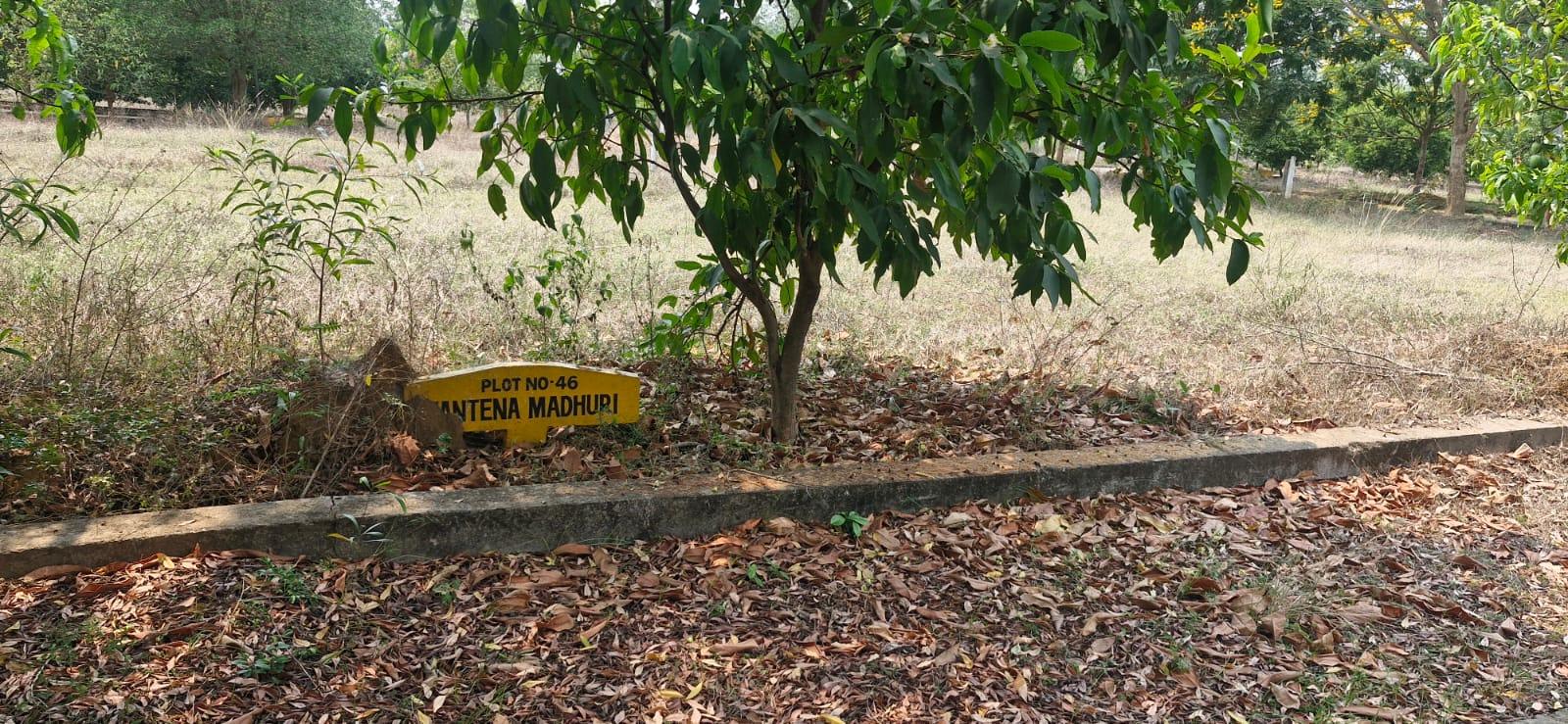Plots in Sontyam, Residential plots for sale in Sontyam,Plots for sale in Sontyam Vizag