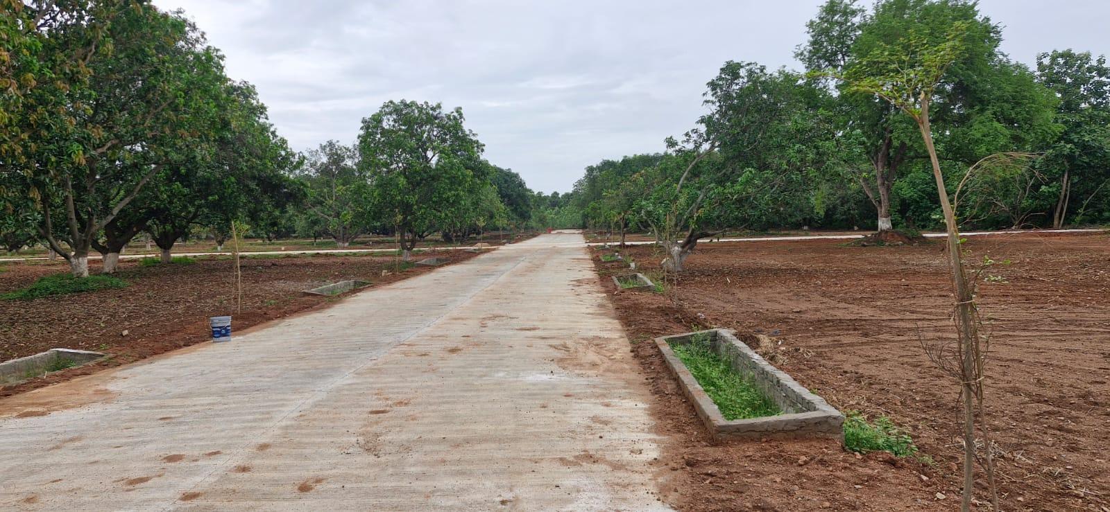 OKA RESORTS – PREMIUM RESORT PLOTS IN VIZAG